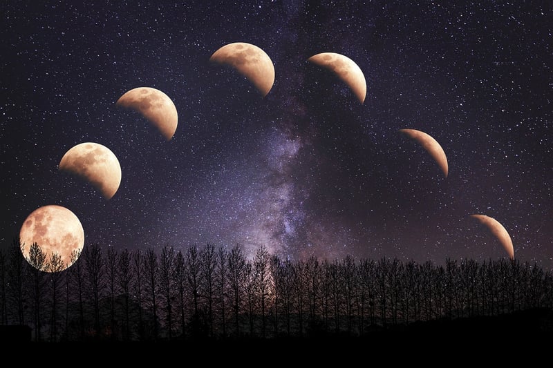 Multiverse Journey